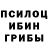 Галлюциногенные грибы мицелий Nekit Player666