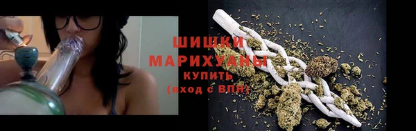 хмурый Новозыбков