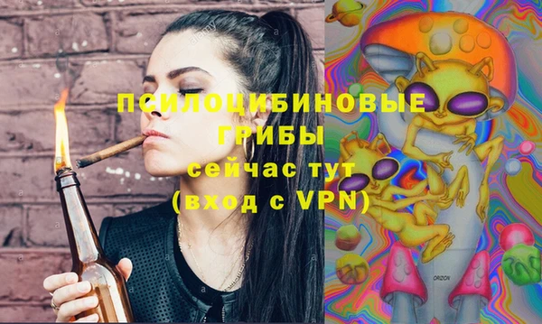 герыч Алексин